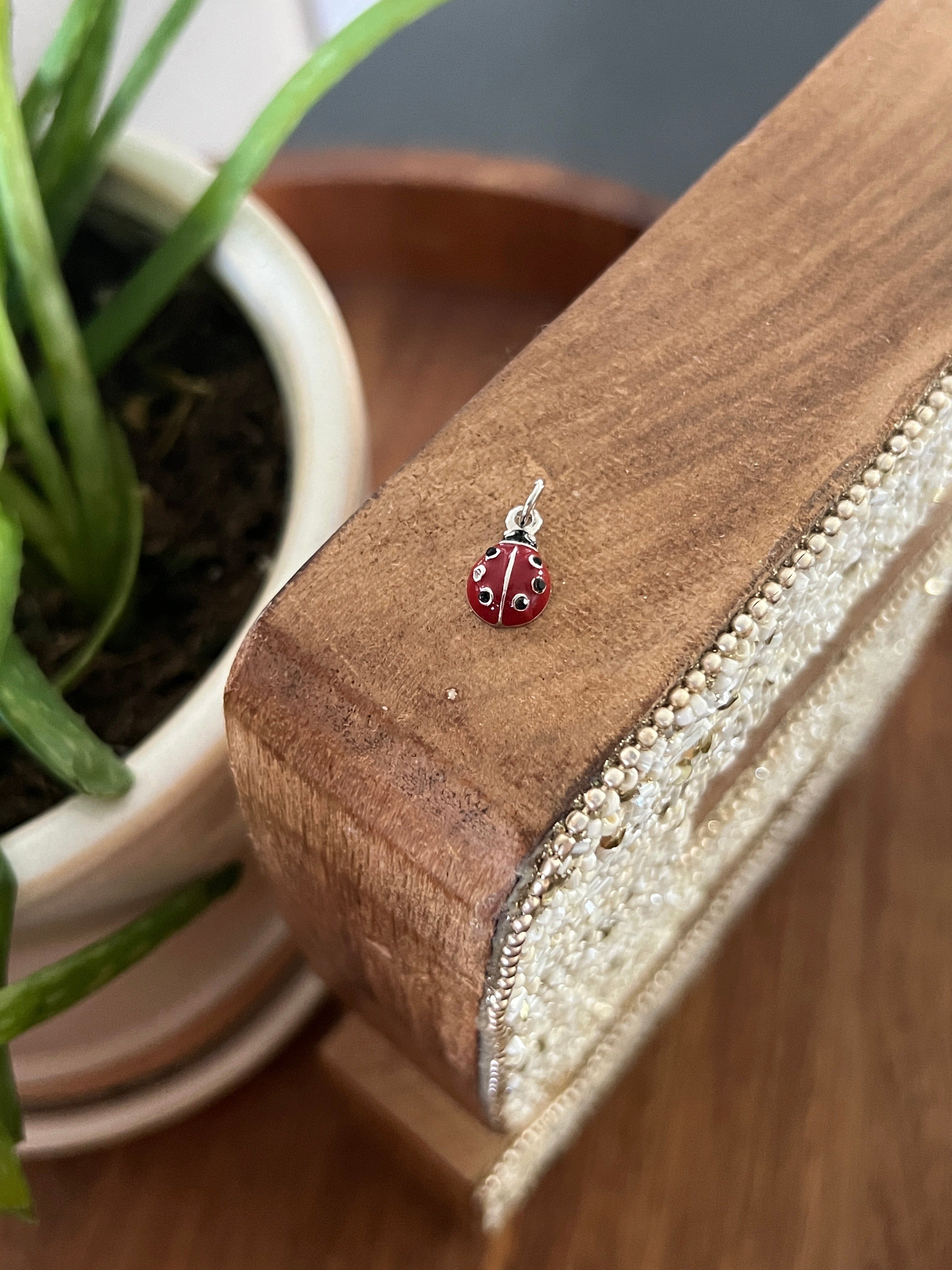 ladybug