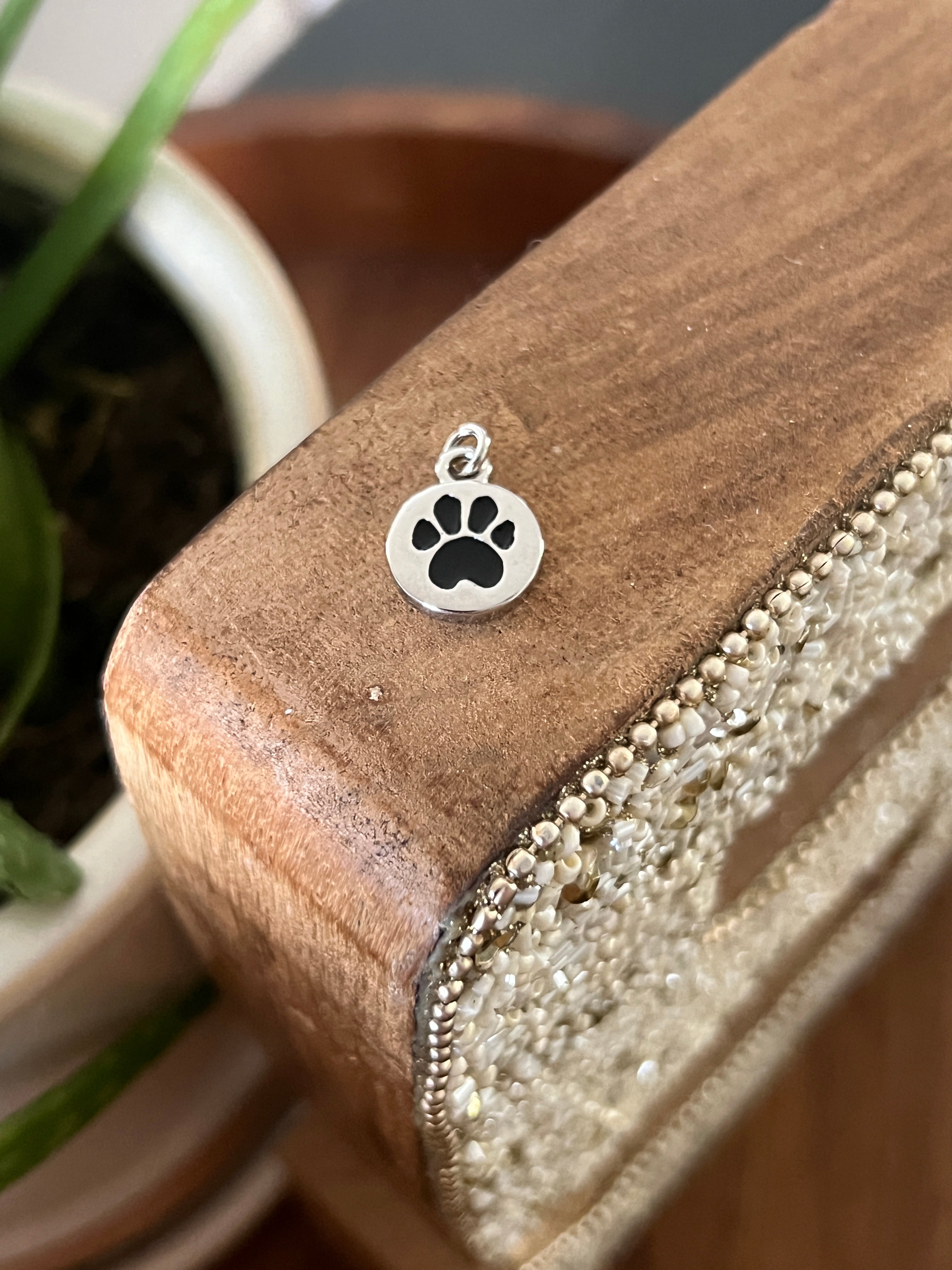 dog paw