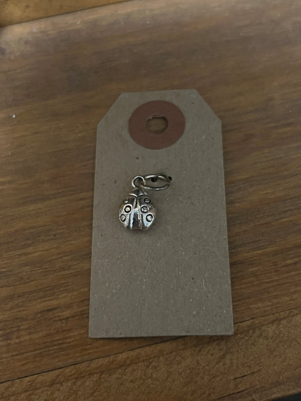 **Special** charms (1 of 1)