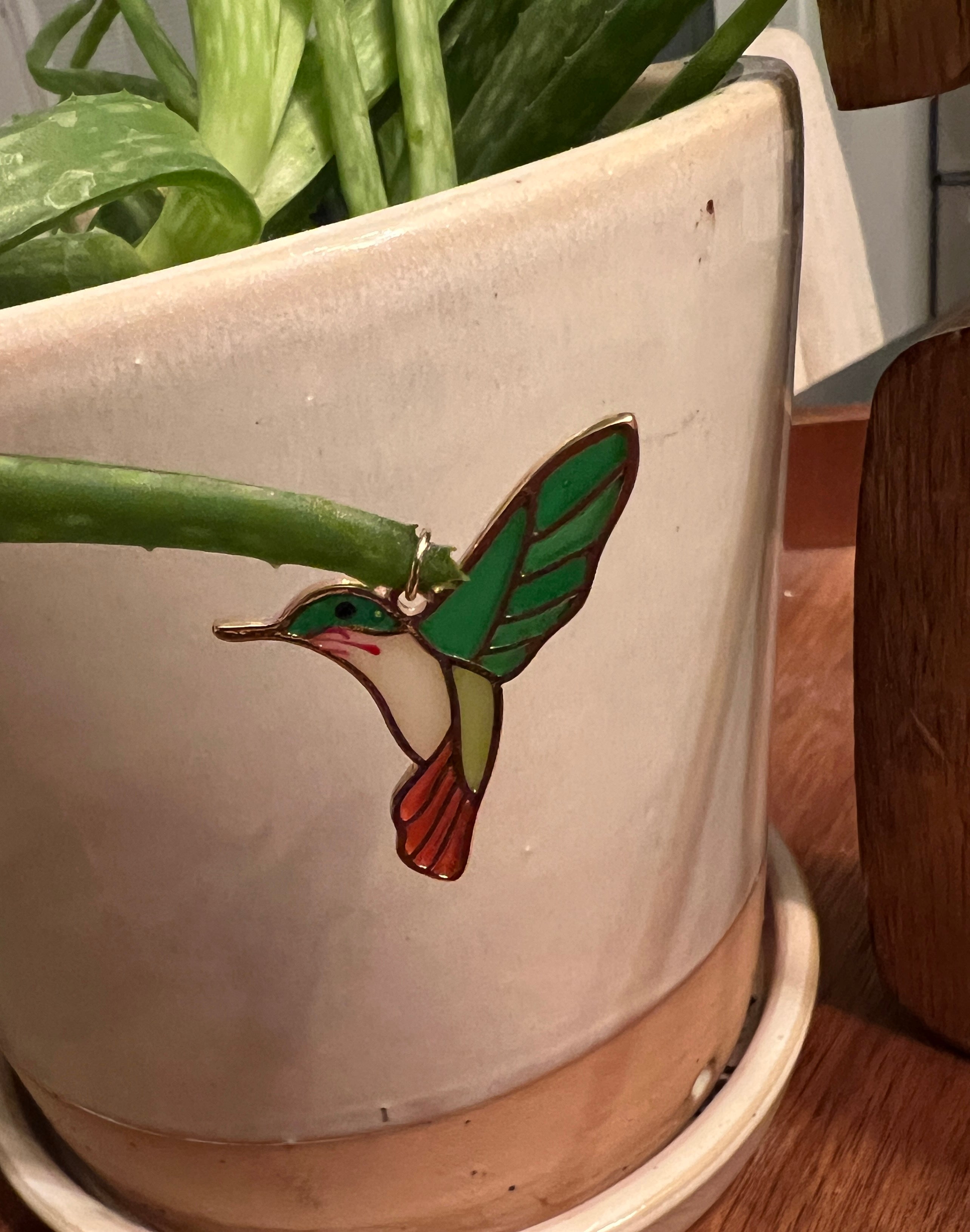 hummingbird