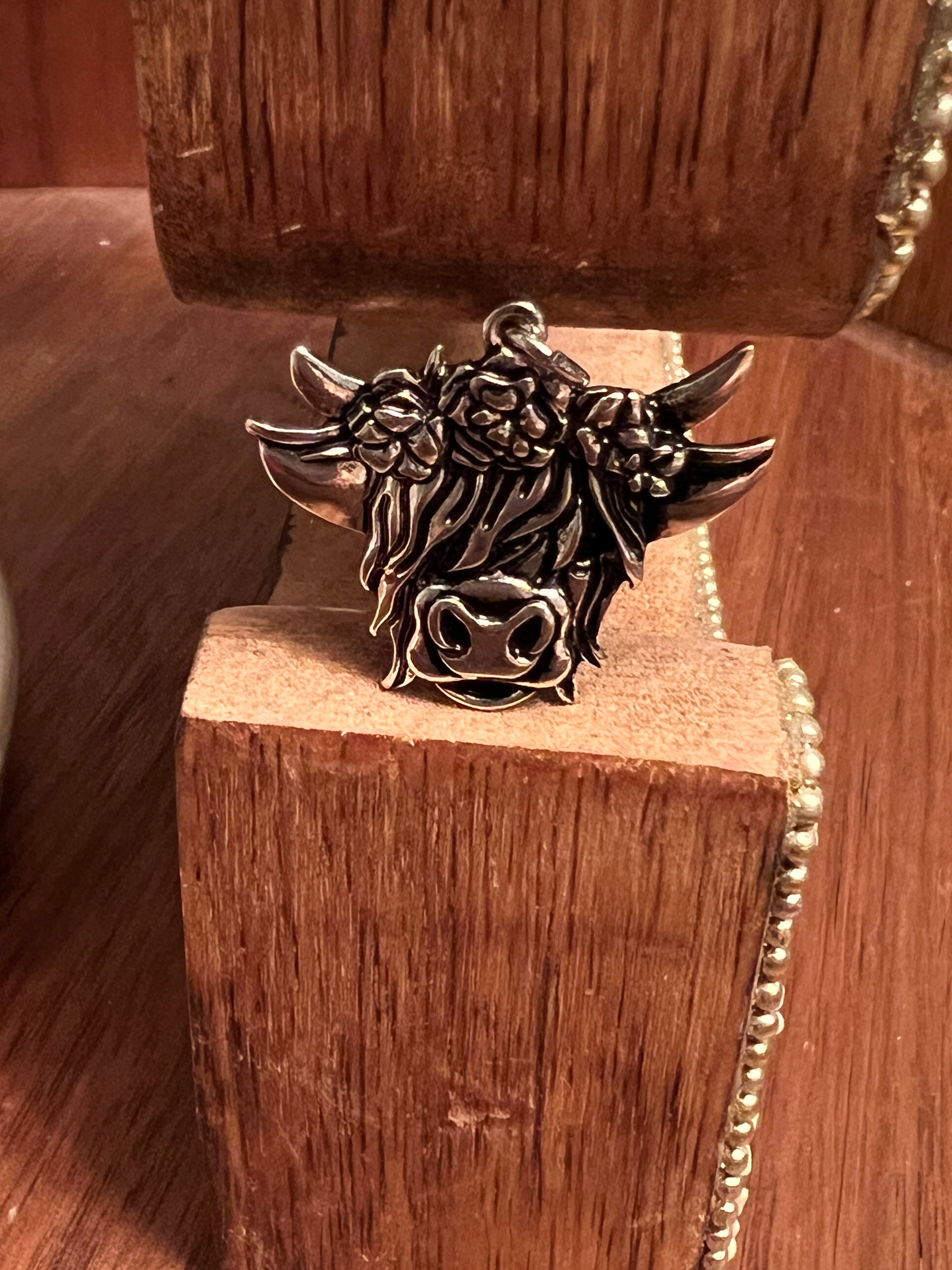 highland cow