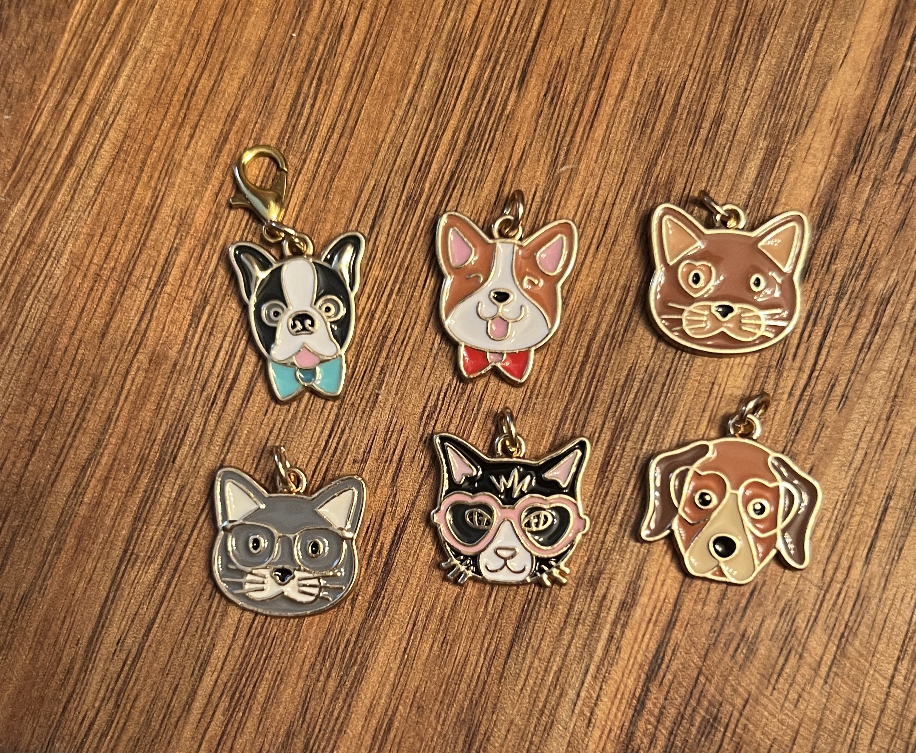 dogs + cats