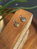 sand dollars