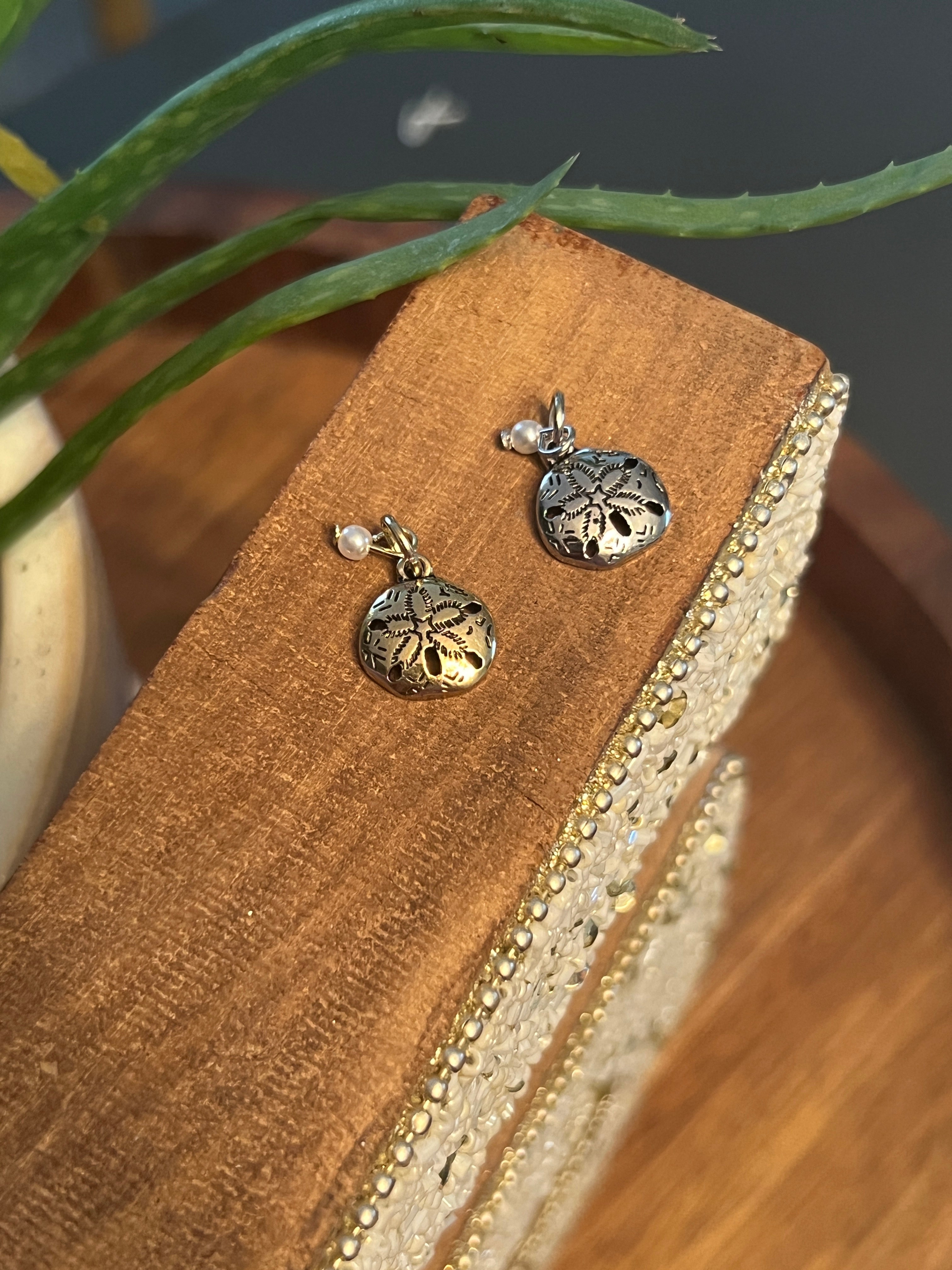 sand dollars